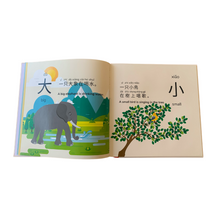 Load image into Gallery viewer, Traditional Chinese Let's Learn Opposite Words: A Bilingual Children's Hardcover