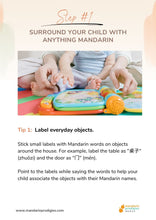 Load image into Gallery viewer, Mandarin Chinese Early Learning Step by Step Guide for Beginner