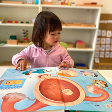 Load image into Gallery viewer, Interactive Body Children Book WOW, Learn Chinse Easily and Fun
