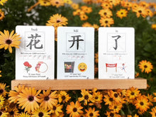 Load image into Gallery viewer, BUNDLE 2 SETS of Chinese Flash Cards, High Quality, Learn Chinese fun & easy