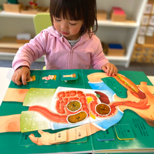 Load image into Gallery viewer, Interactive Body Children Book WOW, Learn Chinse Easily and Fun