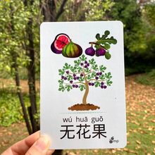 Load image into Gallery viewer, 30 Chinese Flash Cards – 30 Durable, Coated Mandarin Flashcards: Fruits Veggies Pinyin | Montessori Learning Chinese.
