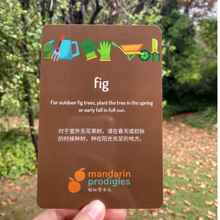 Load image into Gallery viewer, 30 Chinese Flash Cards – 30 Durable, Coated Mandarin Flashcards: Fruits Veggies Pinyin | Montessori Learning Chinese.