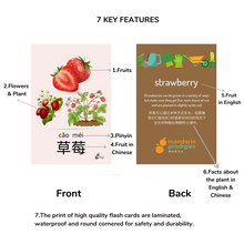 Load image into Gallery viewer, 30 Chinese Flash Cards – 30 Durable, Coated Mandarin Flashcards: Fruits Veggies Pinyin | Montessori Learning Chinese.