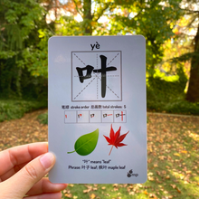 Load image into Gallery viewer, BUNDLE 2 SETS of Chinese Flash Cards, High Quality, Learn Chinese fun & easy