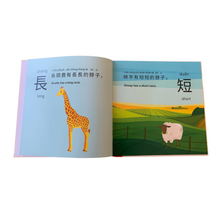 Load image into Gallery viewer, Traditional Chinese Let&#39;s Learn Opposite Words: A Bilingual Children&#39;s Hardcover
