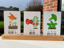 Load image into Gallery viewer, 30 Chinese Flash Cards – 30 Durable, Coated Mandarin Flashcards: Fruits Veggies Pinyin | Montessori Learning Chinese.
