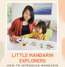Load image into Gallery viewer, Mandarin Chinese Early Learning Step by Step Guide for Beginner
