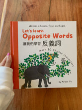 Load image into Gallery viewer, Traditional Chinese Let&#39;s Learn Opposite Words: A Bilingual Children&#39;s Hardcover
