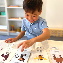 Load image into Gallery viewer, Chinese Flash Cards – 30 Durable, Coated Mandarin Flashcards: Animal, Sound, Pinyin, Montessori Learning Chinese.
