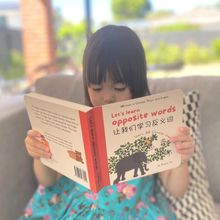 Load image into Gallery viewer, Let&#39;s Learn Opposite Words: A Bilingual Children&#39;s BOARD Book , Introduce 30 Chinese characters.
