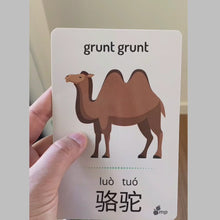 Load and play video in Gallery viewer, mandarin prodigies animal flash cards 

