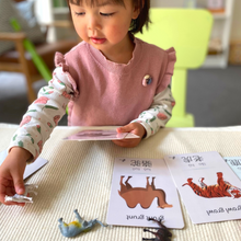 Load image into Gallery viewer, Chinese Flash Cards – 30 Durable, Coated Mandarin Flashcards: Animal, Sound, Pinyin, Montessori Learning Chinese.
