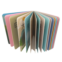 Load image into Gallery viewer, Let&#39;s Learn Opposite Words: A Bilingual Children&#39;s BOARD Book , Introduce 30 Chinese characters.
