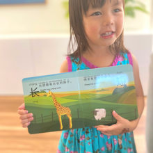 Load image into Gallery viewer, Let&#39;s Learn Opposite Words: A Bilingual Children&#39;s BOARD Book , Introduce 30 Chinese characters.

