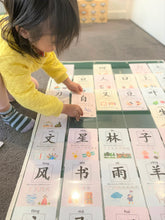 Load image into Gallery viewer, Flash Card Organiser designed to store &amp; display the Chinese flash cards, Flash card holder
