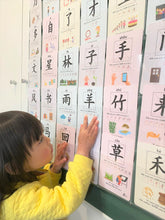 Load image into Gallery viewer, Flash Card Organiser designed to store &amp; display the Chinese flash cards, Flash card holder

