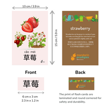 Load image into Gallery viewer, 30 Chinese Flash Cards – 30 Durable, Coated Mandarin Flashcards: Fruits Veggies Pinyin | Montessori Learning Chinese.

