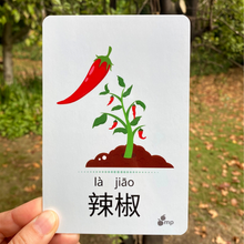 Load image into Gallery viewer, BUNDLE 2 SETS of Chinese Flash Cards, High Quality, Learn Chinese fun &amp; easy
