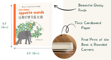 Load image into Gallery viewer, Let&#39;s Learn Opposite Words: A Bilingual Children&#39;s BOARD Book , Introduce 30 Chinese characters.
