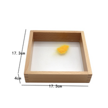Load image into Gallery viewer, Montessori Sand Tray with Wooden Pen, Sensory Play,  Montessori Educational Toys
